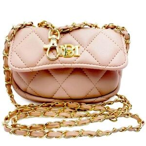 Badgley Mini shoulder purse